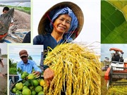 Nhân lực cho nông nghiệp công nghệ cao