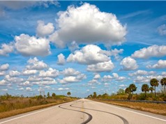 Sự sống góp phần hình thành mây thế nào?