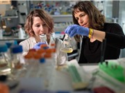 Các trường đại học Bỉ tiếp tục kêu gọi 'Ngăn Israel tham gia Horizon Europe'