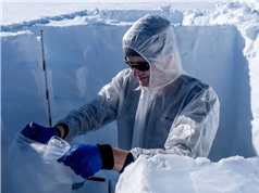 Du lịch bùng nổ làm ô nhiễm Nam Cực