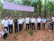 Lò phản ứng nghiên cứu mới cho Việt Nam: Giấc mơ hai thập niên