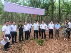 Lò phản ứng nghiên cứu mới cho Việt Nam: Giấc mơ hai thập niên