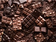 Vi sinh vật góp phần tạo ra sôcôla hảo hạng như thế nào