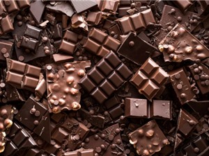 Vi sinh vật góp phần tạo ra sôcôla hảo hạng như thế nào