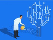 AI nào cho trường đại học (Kỳ 1): Ba điều bất ổn của AI