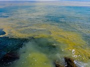 Tác động của con người lên đại dương sẽ tăng gấp đôi vào năm 2050