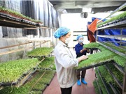 Hai nguồn vốn cốt lõi của hợp tác xã nông nghiệp