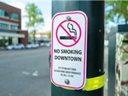 Nguy cơ tử vong do bệnh mạn tính giảm trên toàn cầu