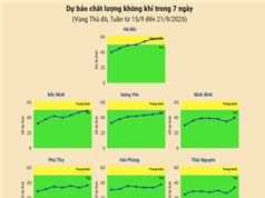 [Infographic] Dự báo chất lượng không khí trên cả nước - tuần từ 15/9 đến 21/9/2025