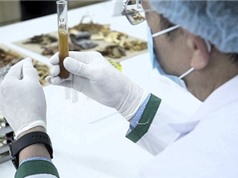 Đề xuất các cơ chế mới và các nhiệm vụ KH&CN đẩy mạnh nền y học cổ truyền