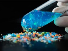 Phát hiện hạt vi nhựa sâu trong xương người