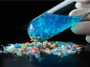 Phát hiện hạt vi nhựa sâu trong xương người