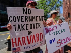 Tài trợ cho nghiên cứu: Cuộc đấu giữa Harvard và Trump