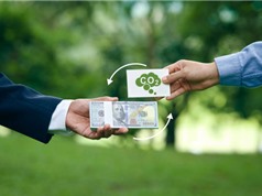 Tín chỉ carbon hầu như không giúp các công ty “xanh” hơn