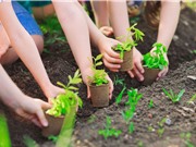 Đất đã thay đổi sự sống trên Trái đất như thế nào