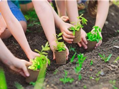 Đất đã thay đổi sự sống trên Trái đất như thế nào