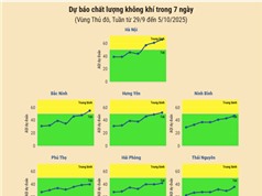 [Infographic] Dự báo chất lượng không khí trên cả nước - tuần từ 29/9 đến 5/10/2025