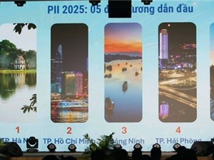 Năng lực ĐMST của các địa phương đang phát triển theo chiều sâu