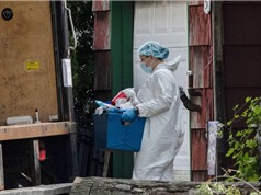 Dùng dữ liệu DNA tiên tiến tại tòa án