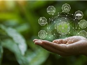 Hầu hết các chương trình bù trừ carbon không làm giảm phát thải