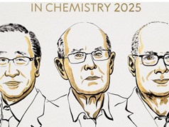 Giải Nobel Hóa học 2025 cho ba nhà khoa học phát triển khung hữu cơ - kim loại