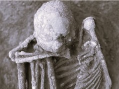 Xác ướp hun khói 12.000 năm tuổi: Bằng chứng sớm nhất về quá trình ướp xác của con người