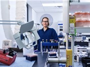 Cách tiếp cận AI của doanh nghiệp phi công nghệ