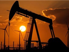 250 công ty dầu khí hàng đầu chỉ sở hữu 1,5% năng lượng tái tạo của thế giới