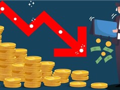 Đầu tư mạo hiểm tại Đông Nam Á: Từ giấc mơ kỳ lân đến tăng trưởng bền vững