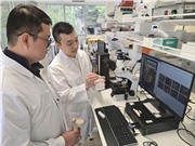 Vật liệu cấy ghép chỉnh hình từ vật liệu nano dựa trên kim loại lỏng