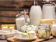 Sữa: Từ dấu hiệu thấp kém đến thực phẩm phổ biến trên toàn cầu