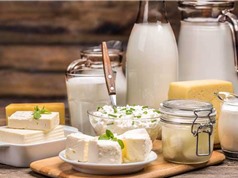 Sữa: Từ dấu hiệu thấp kém đến thực phẩm phổ biến trên toàn cầu