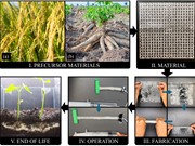 Vật liệu robot phân hủy sinh học từ bánh tráng