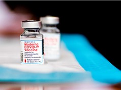 Vaccine COVID-19 làm tăng hiệu quả điều trị ung thư