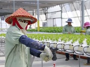 Tương lai công nghệ nông nghiệp Đông Nam Á