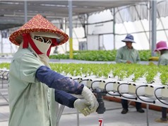 Tương lai công nghệ nông nghiệp Đông Nam Á