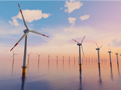 Công suất điện gió ngoài khơi toàn cầu dự kiến tăng gấp ba lần vào năm 2030