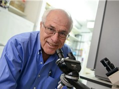 Zelig Eshhar: Người chỉnh sửa các tế bào miễn dịch để chống lại ung thư