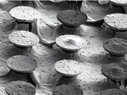 Cấu trúc siêu nhỏ trên bề mặt vật liệu có thể điều hướng tế bào ung thư