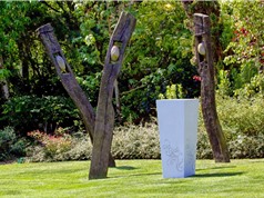 Phát triển bê tông xanh siêu tính năng