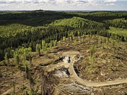 Cam kết về khí hậu tại COP30 đang tập trung vào các sáng kiến loại bỏ carbon phi thực tế