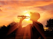 Chậm đạt mục tiêu “net zero” sẽ dẫn tới hàng thế kỷ nắng nóng cực đoan hơn