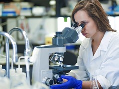 Chương trình Horizon Europe: Giai đoạn cuối với những thay đổi lớn