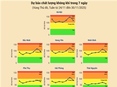 [Infographic] Dự báo chất lượng không khí trên cả nước - tuần từ 24/11 đến 30/11/2025