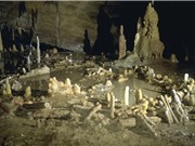 Người Neanderthal có niềm tin tôn giáo không?