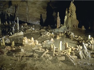 Người Neanderthal có niềm tin tôn giáo không?