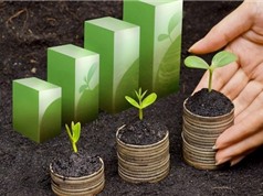 Touchstone lập Quỹ Chuyển đổi xanh 10 triệu USD 