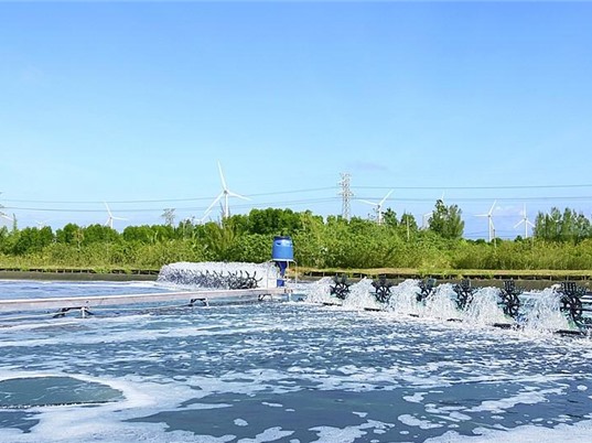 Chìa khóa để xanh hóa ngành cao su Việt Nam