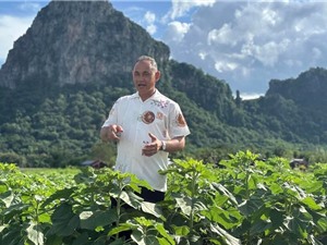 Khởi nghiệp Đông Nam Á: AI chỉ là công cụ, không phải là giải pháp cốt lõi