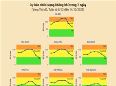 [Infographic] Dự báo chất lượng không khí trên cả nước - tuần từ 8/12 đến 14/12/2025